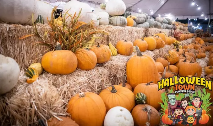 HOT! Get a Ticket to the Halloween Town Pumpkin Patch at Paradise